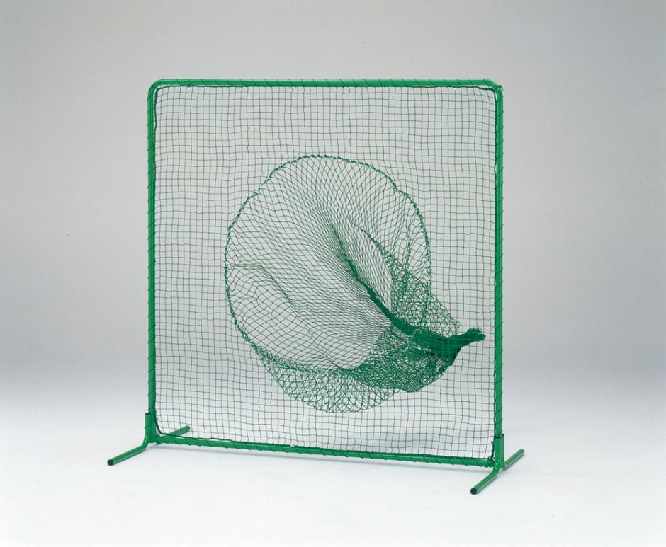 ティーバッティングネットDX B2958