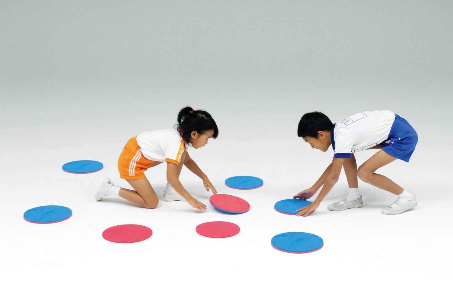 室内ツートンカラーディスク25 B3873