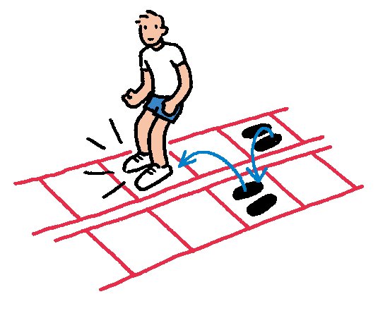 トレーニング用ラダー