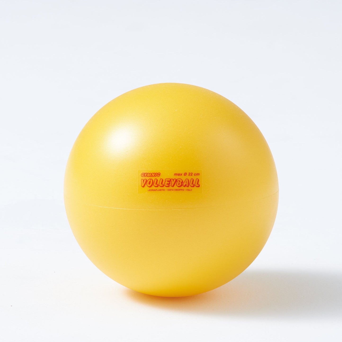VOLLEY BALL20