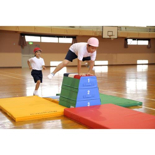 屋内すべり止カラーマット