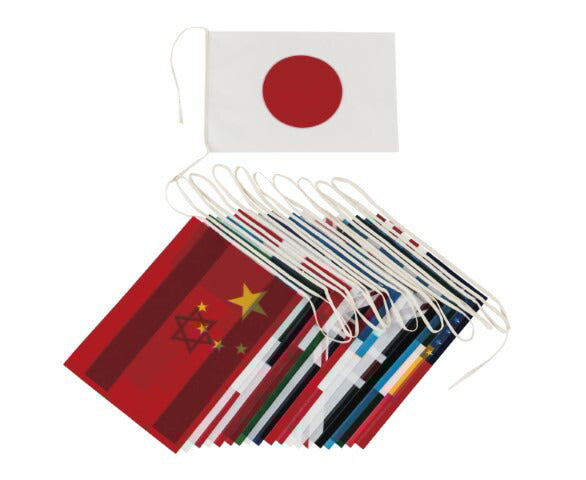 連続万国旗PE(20ヶ国) 28cm×35cm S-0595
