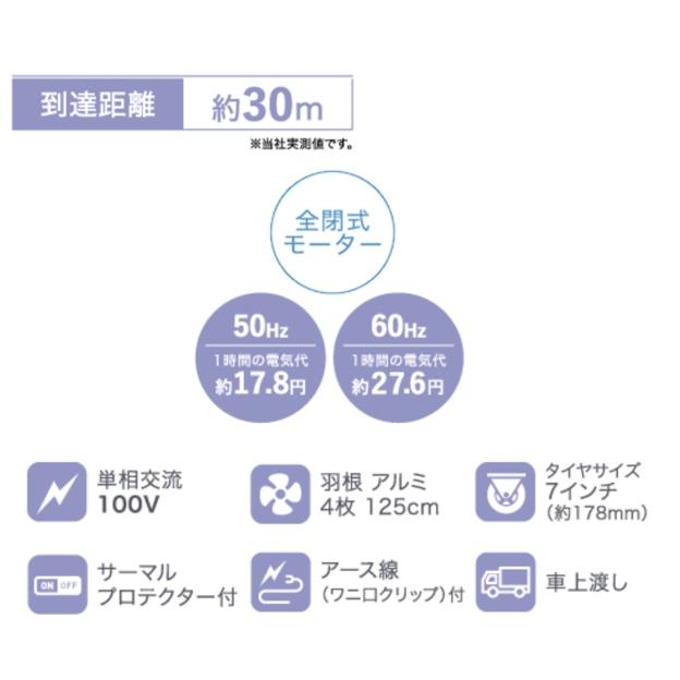 ビッグファン 125cm S-7939