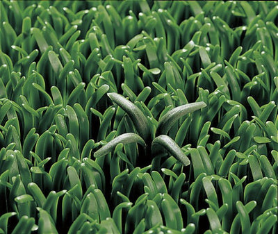 ユニットターフα本体 S-9300