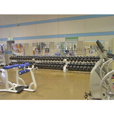 移動式スポーツミラー W120 S-9507