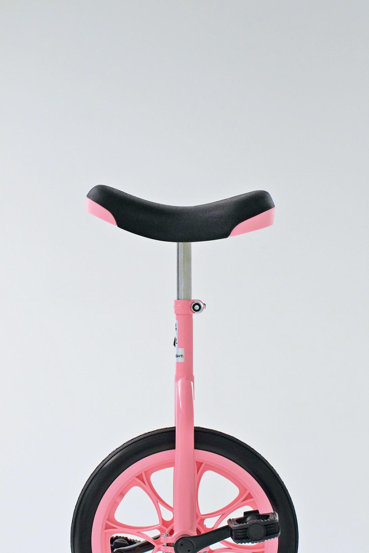 ノーパンク一輪車16 T1160