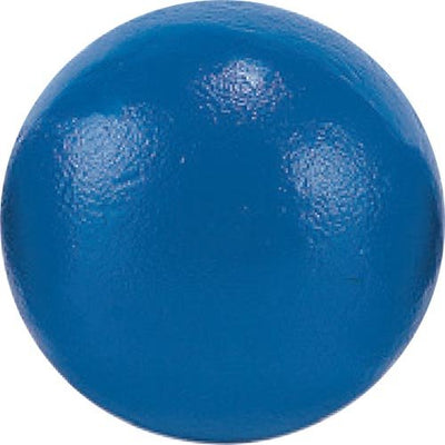 砲丸 鉄高校男子練習用 EGB065