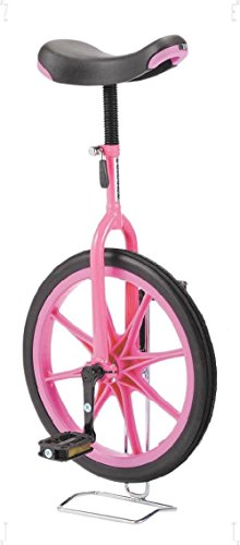 一輪車 ノーパンク 16インチ 保育園 幼稚園 学校 体育