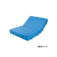 屋内カラーエバーマット 二ツ折 EGD211