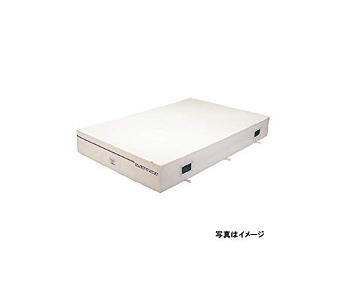 抗菌屋内エバーマット 200×300×20cm EGD222