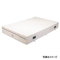 抗菌屋内エバーマット200×300×40 EGD224