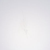 プラカード(５台１組)