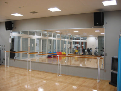 壁面用リフェクスミラー １２０