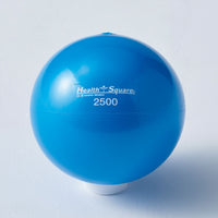 ソフトＳｍａｌｌウェイトボール２５００