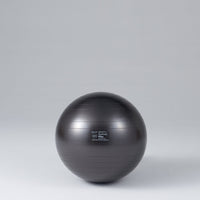 ギムニクカラーボールＰＬＵＳ ６５