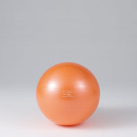 ギムニクカラーボールＰＬＵＳ ６５