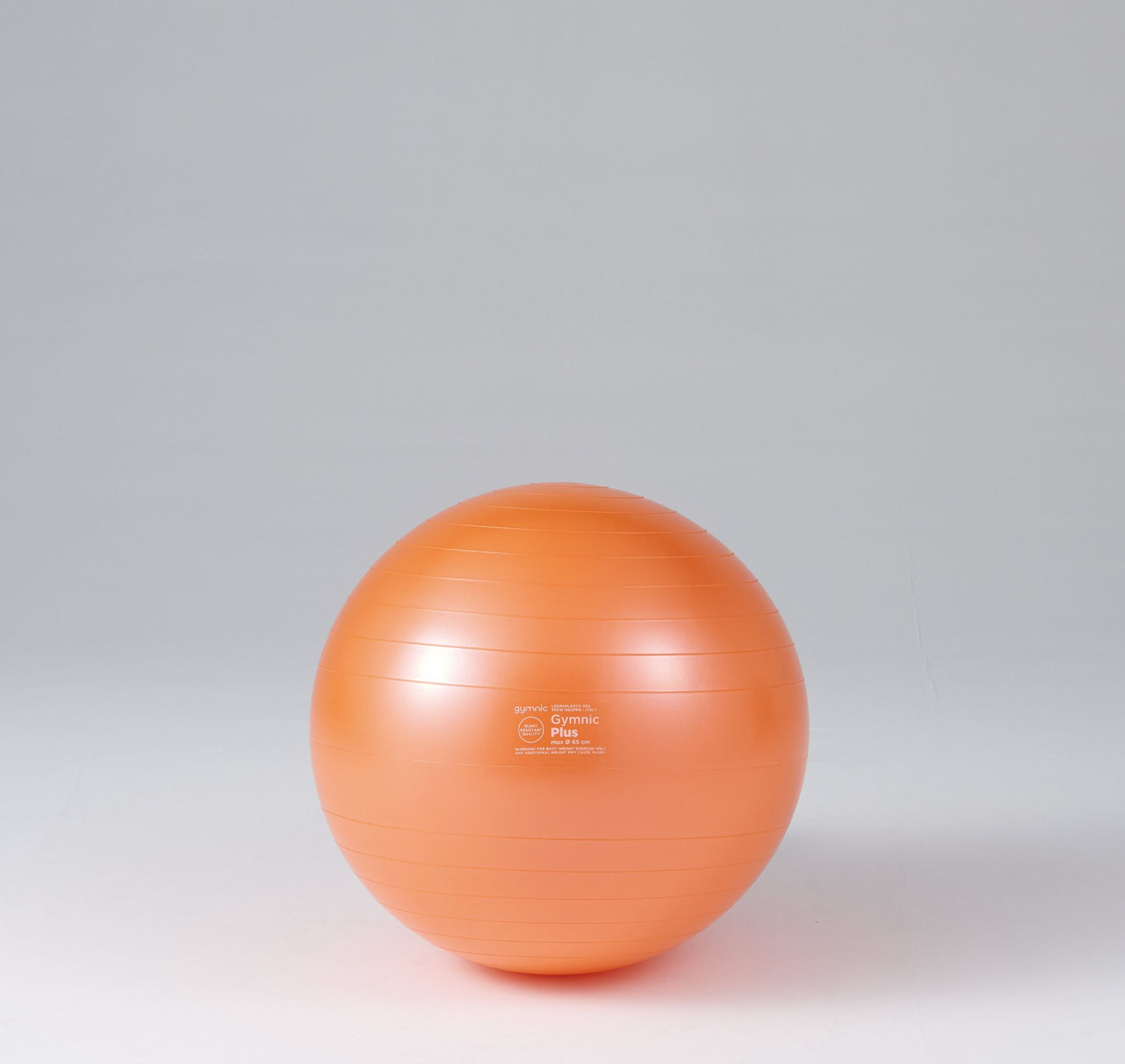ギムニクカラーボールＰＬＵＳ ６５