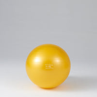 ギムニクカラーボールＰＬＵＳ ６５