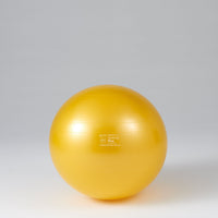 ギムニクカラーボールＰＬＵＳ ７５