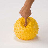 触覚ボール１０(２個１組)(ソフトタイプ)