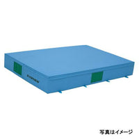 屋内カラーエバーマット滑り止付 200×300×40 マット 滑り止め付 体操 陸上 日本製