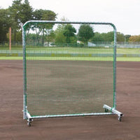 防球 ネット DX 3X2C 幅300×奥行100×高さ205cm 緑 グリーン スチール 日本製 EKC168