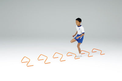 ステップハードル10 G2019