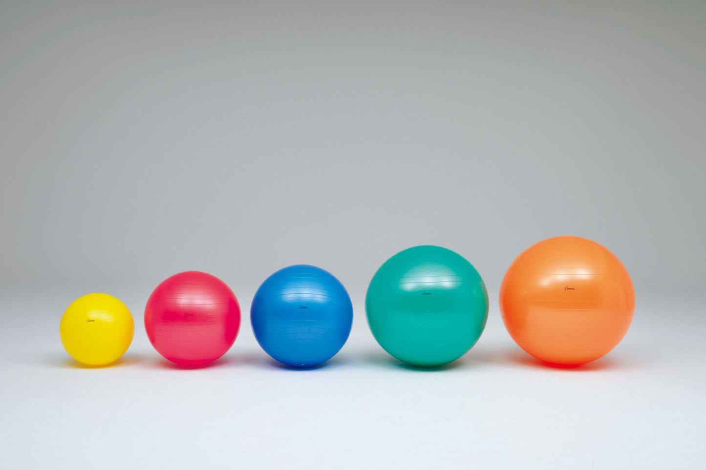 ボディーボール55 H7261