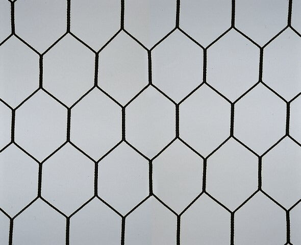 一般用サッカーゴールネット(組) 黒 六角 S-0437