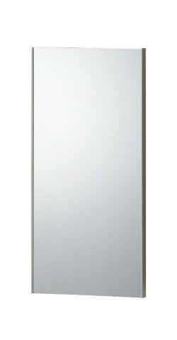 マグネット式スポーツミラー W40×H150 S-0935
