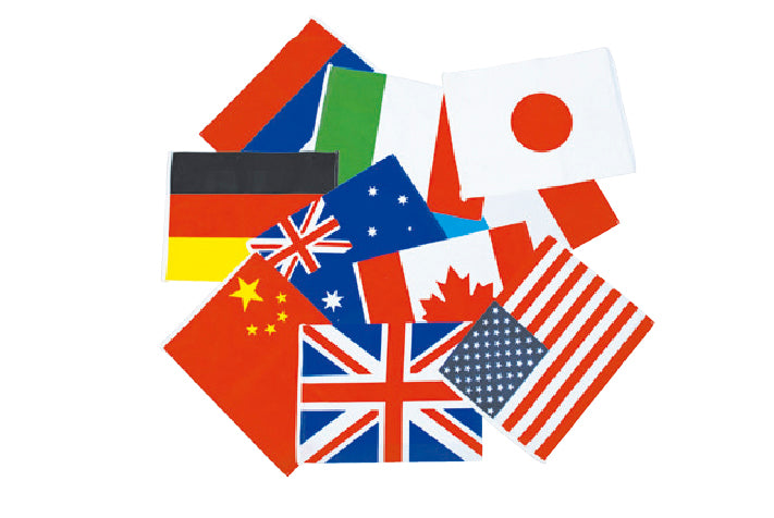 個別万国旗 ポリ 20ヶ国