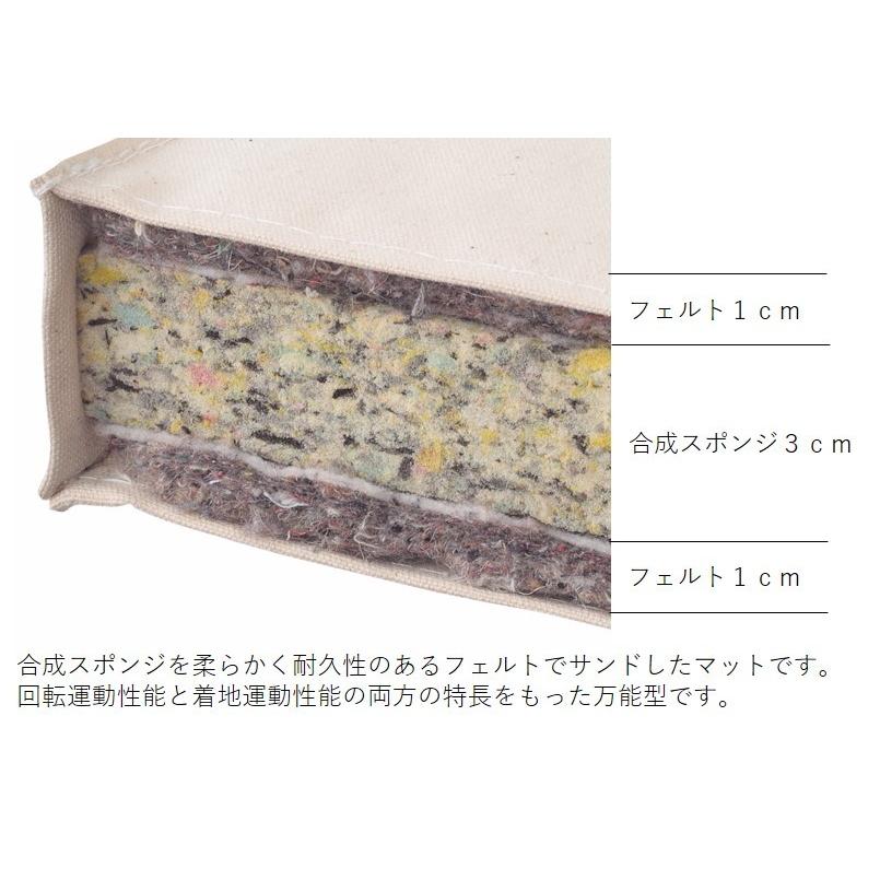 抗菌コンビマット ノンスリップ 9号 90×180×6  S-7871