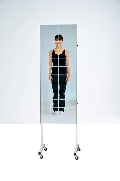 姿勢矯正フィルムミラー450 T1942